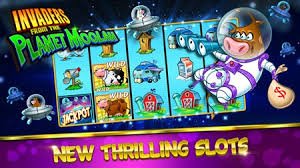 Layar utama fungame77 menampilkan sportsbook dan live casino dengan antarmuka Indonesia